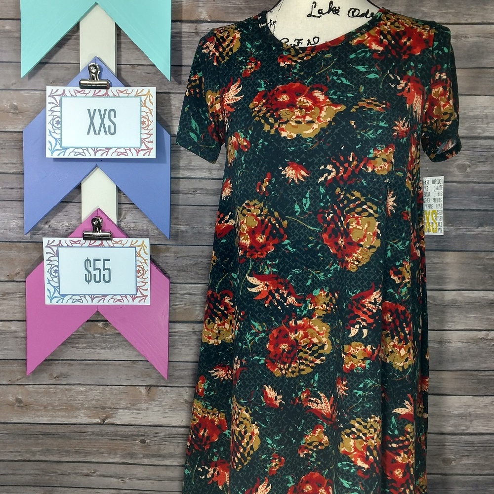 LuLaRoe XXS Carly dress